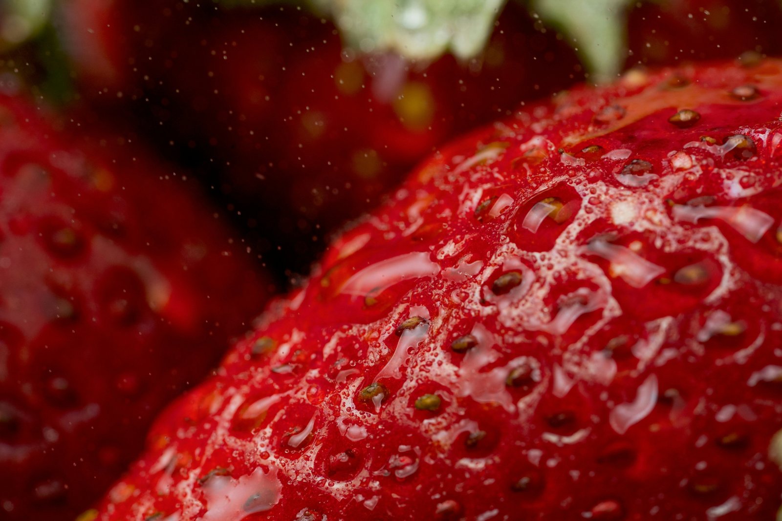 a close up of a bunch of red strawberries